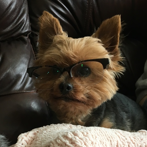 Meet your Posher, Lisa - Picture 3 of 8